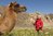 DVD "Mongolei - Mit Kind & Kamel unterwegs im Nomadenland" Foto- & Film-Reportage + Dokumentarfilm