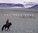 The Silk Road: A Musical Caravan (2er CD)