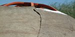 Dachfilz (2teilig) für mongolische Jurte, Wollfilz