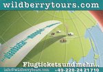 Postkarte: 12 Wildberry Tours