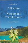 Collection of Mongolian Wild Flowers - The Second Edition