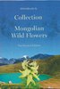 Collection of Mongolian Wild Flowers - The Second Edition
